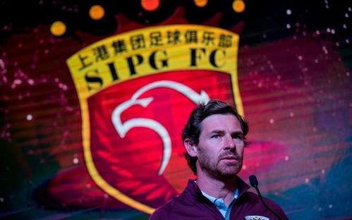 最新爆料天选球星是谁,最新爆料，天选球星究竟花落谁家？